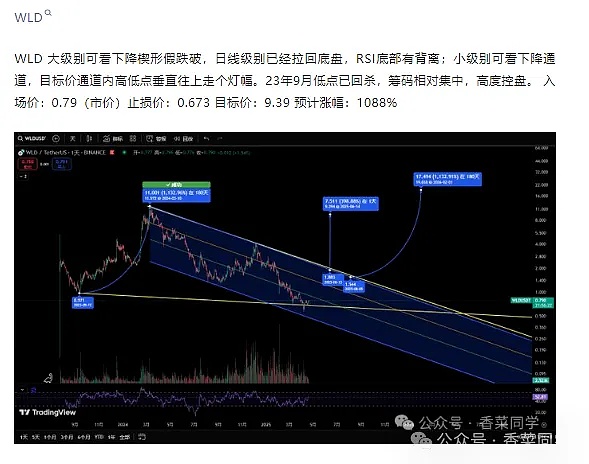 当稳定币巨头开始单飞：专属链热潮下的行业震荡