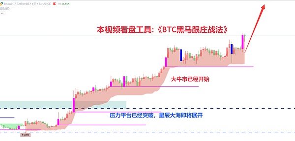 BNB Chain的热度与价格：一场耐人寻味的背离