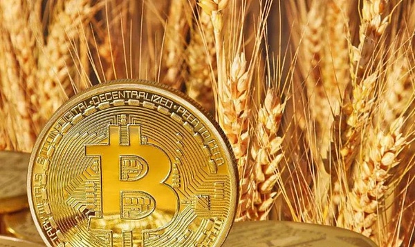 比特币200天后创历史新高？这些关键指标告诉你入场时机