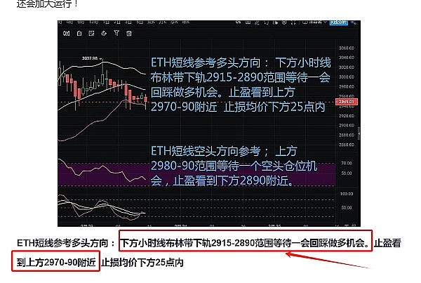当江南水乡遇上元宇宙：西溪湿地玩出新花样