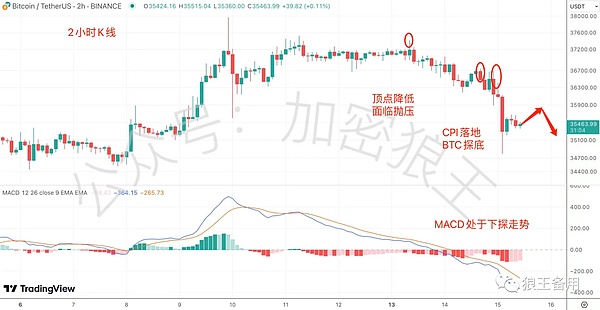 狗狗币又要起飞？这些关键信号告诉你0.7美元不是梦
